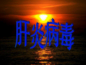 乙型肝炎病毒介绍PPT.ppt