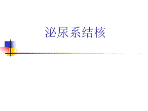 泌尿系结核.ppt