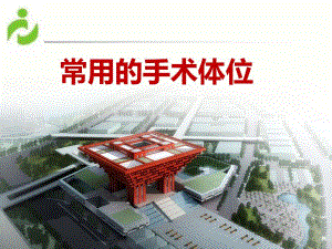 手术体位.ppt