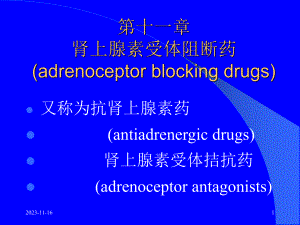 第12章肾上腺受体阻断药.ppt