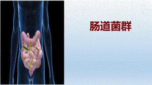 肠道菌群.ppt
