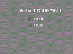 艺用人体解剖学上肢、下肢.ppt.ppt