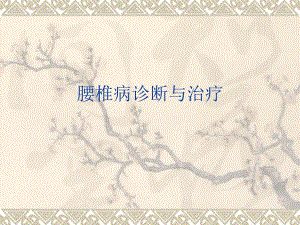 腰椎病.ppt.ppt