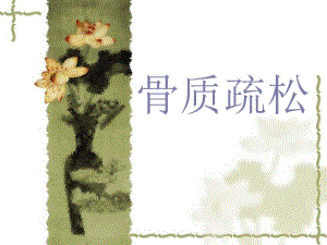 骨质疏松.ppt