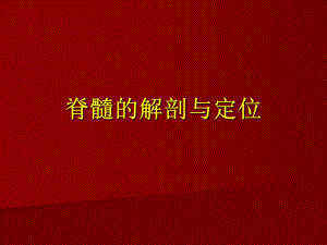 脊髓的解剖与定位.ppt