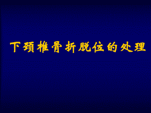 下颈椎骨折脱位的处理.ppt