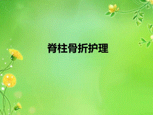 脊柱骨折护理2.ppt
