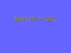 肌腱缝合技术.ppt