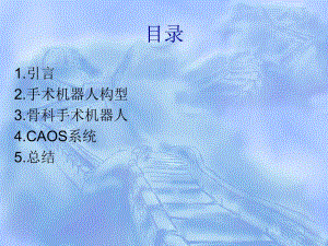骨科手术机器人.ppt.ppt