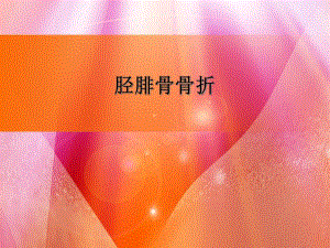 胫腓骨踝关节骨折专题培训PPT.ppt