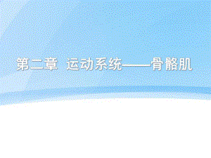 运动系统骨骼肌介绍.ppt