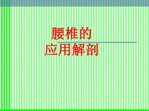 腰椎解剖应用.ppt