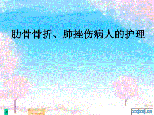 肋骨骨折病人的护理.ppt