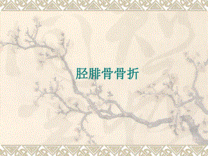 胫腓骨骨折.ppt