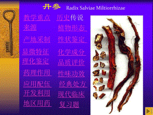 丹参(PPT32).ppt