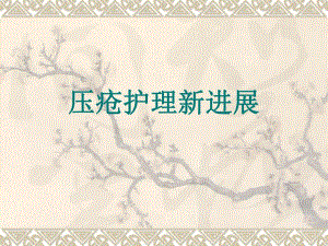 压疮护理新进展　.ppt