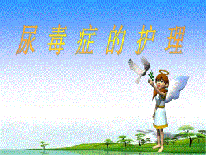 尿毒症患者护理业务查房.ppt