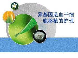 异基因造血干细胞移植护理.ppt