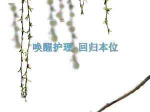 唤醒护理体会ppt.ppt