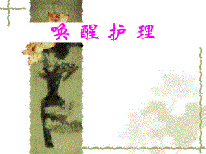 唤醒护理.ppt