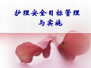 护理安全目标管理与实施.ppt