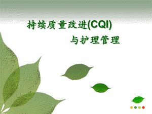 持续质量改进与护理管理.ppt