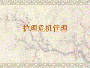 护理危机管理.ppt.ppt