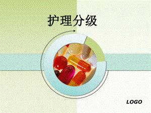 护理分级PPT.ppt