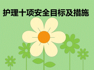 护理十项安全目标及措施.ppt
