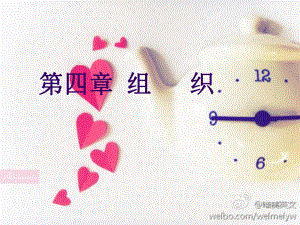 护理管理学第四章组织.ppt