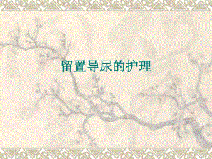 留置导尿的护理.ppt.ppt