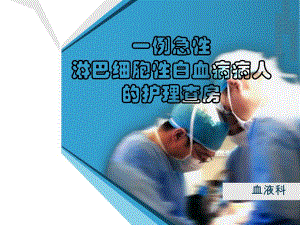 淋巴细胞性白血病的护理查房..ppt