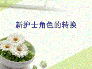 护士角色的转换.ppt