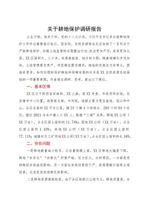 区自然资源局关于耕地保护调研报告.docx