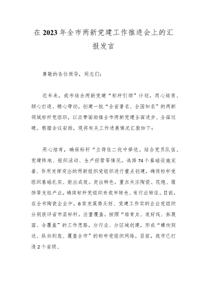 在2023年全市两新党建工作推进会上的汇报发言.docx