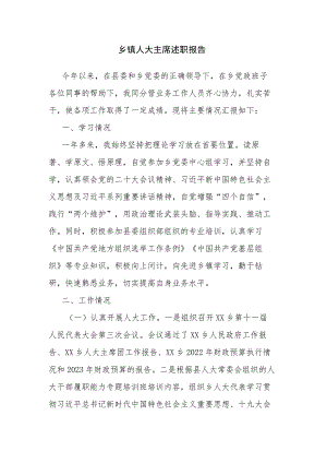 乡镇人大主席述职报告.docx