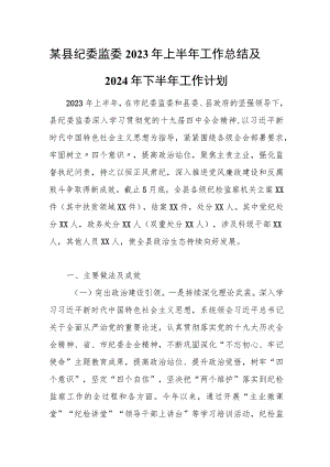 某县纪委监委2023年上半年工作总结及2024年下半年工作计划.docx