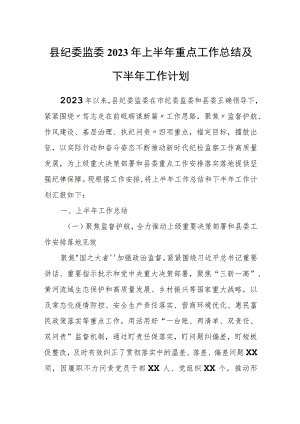 县纪委监委2023年上半年重点工作总结及下半年工作计划.docx