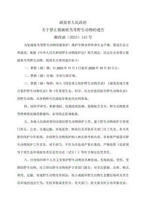 湖南省关于禁止猎捕候鸟等野生动物的通告（2023年）.docx