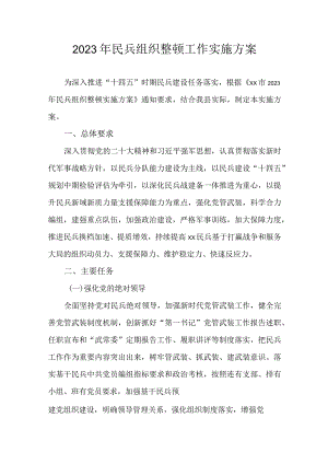 2023年民兵组织整顿工作实施方案.docx