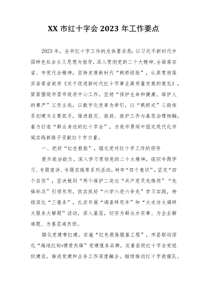 XX市红十字会2023年工作要点.docx