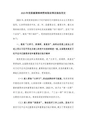 2023年党委重要精神贯彻落实情况报告范文.docx