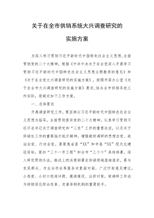 关于在全市供销系统大兴调查研究的实施方案.docx