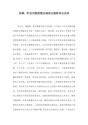 党课：盯住问题抓整改 确保主题教育出实效.docx
