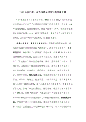 2023经验汇报：全力推进乡村振兴高质量发展.docx