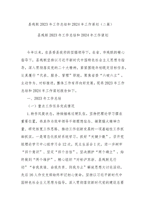 县残联2023年工作总结和2024年工作谋划(二篇).docx