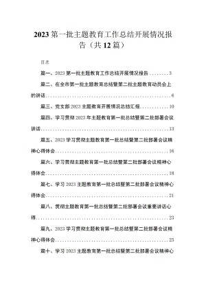 2023第一批专题工作总结开展情况报告（共12篇）.docx