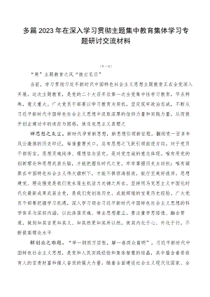 多篇2023年在深入学习贯彻主题集中教育集体学习专题研讨交流材料.docx