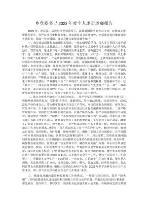 乡党委书记2023年度个人述责述廉报告.docx