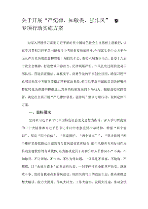 关于开展“严纪律、知敬畏、强作风”整训专项行动实施方案.docx